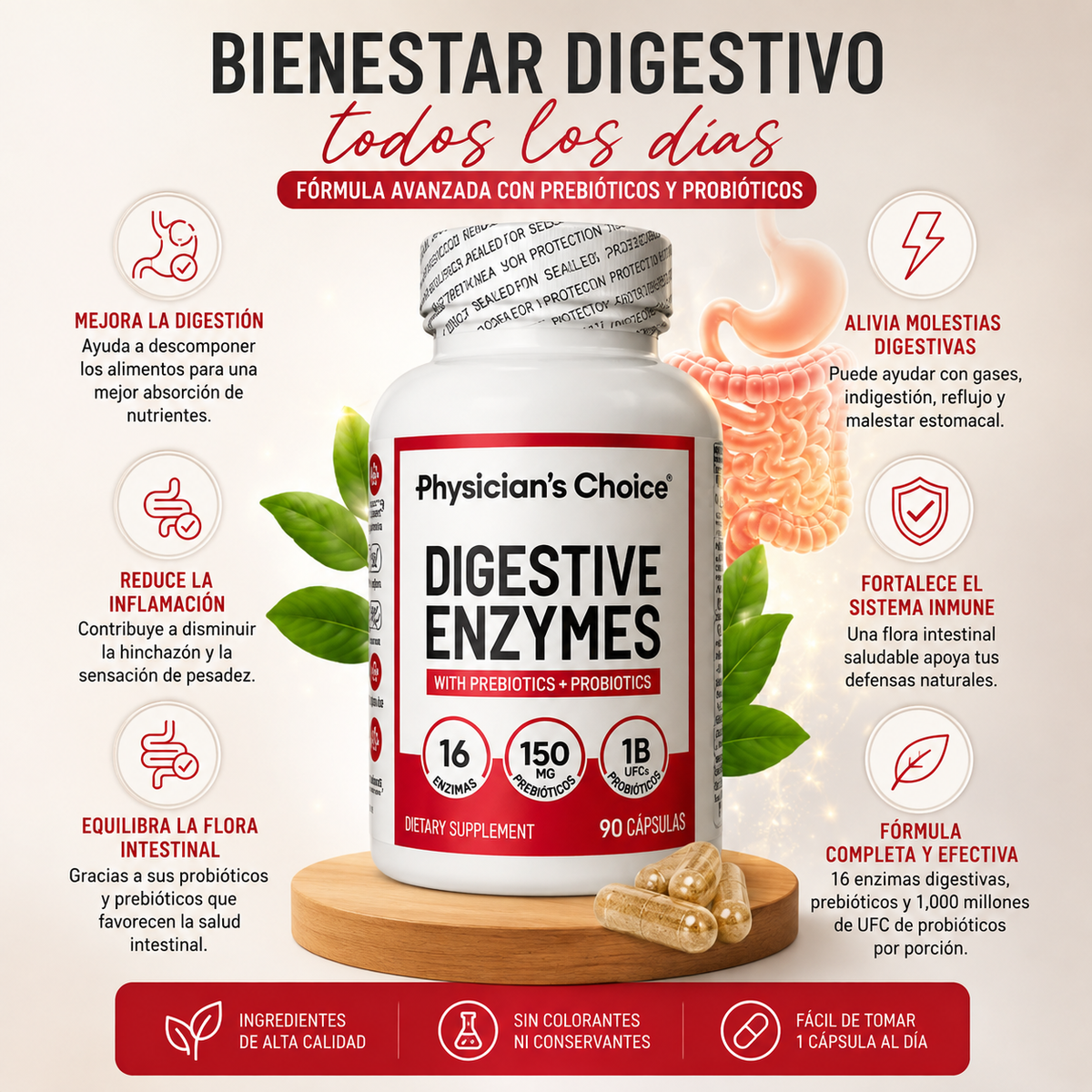 Enzimas Digestivas : Prebióticos + Probióticos