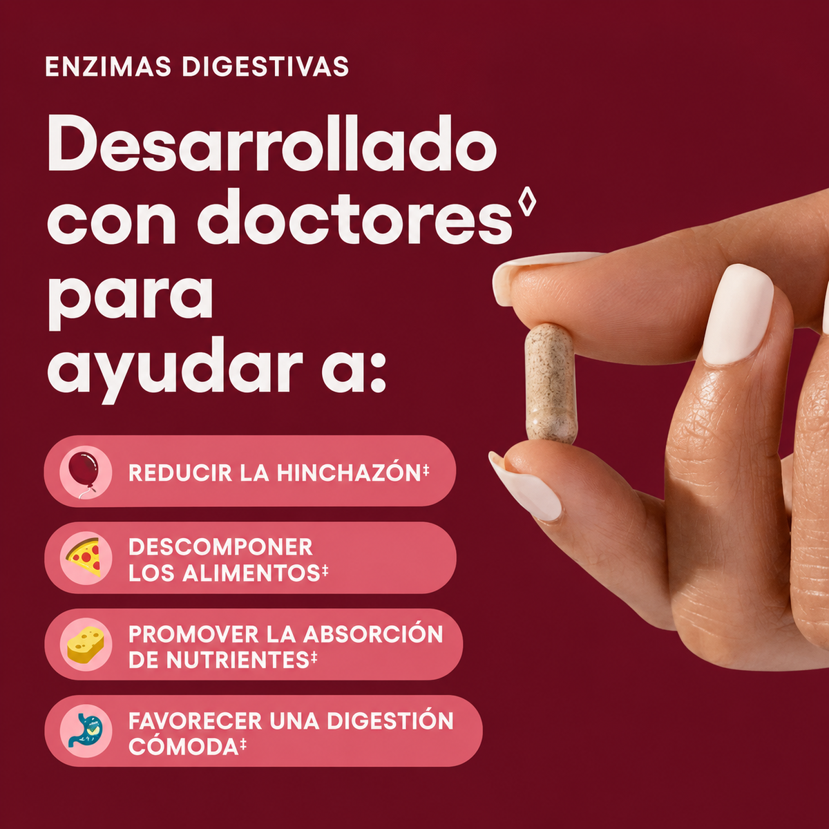 Enzimas Digestivas : Prebióticos + Probióticos