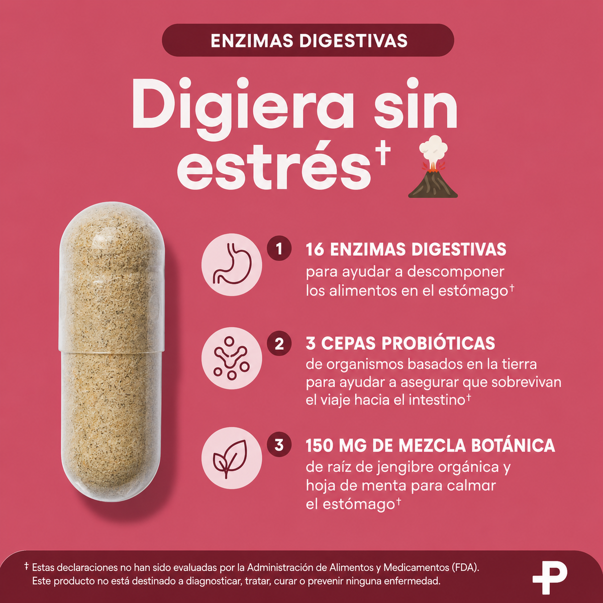 Enzimas Digestivas : Prebióticos + Probióticos
