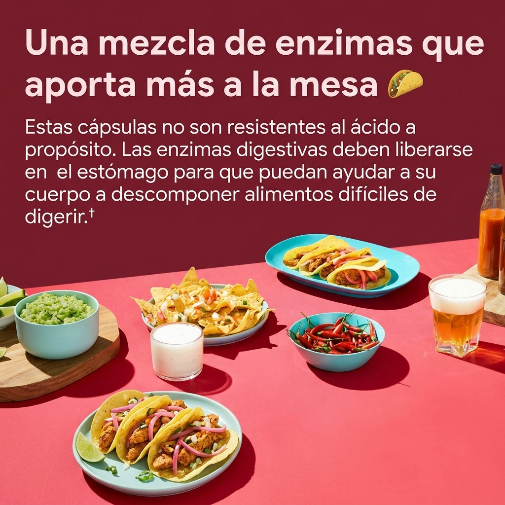 Enzimas Digestivas : Prebióticos + Probióticos